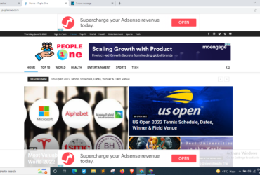 2 year old adsense Aproved  (pepleone.com) – FREE WEB HOSTING 3 months
